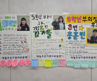 2026학년도 학생다모임 5학년 부회장 재선거 실시