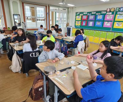 4학년, 찾아오는 현장체험학습_화과자 만들기 