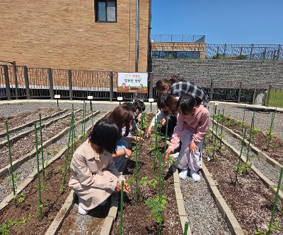 북촌초, 텃밭 가꾸기로 탄소중립 실천