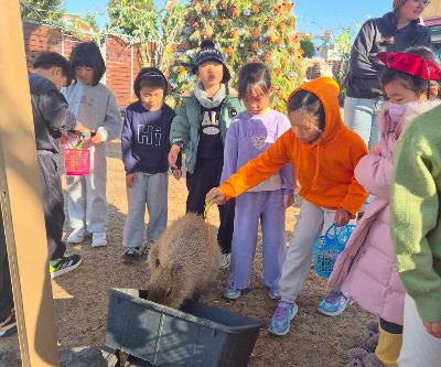 1,2학년 자연과 함께 하는 인성체험 프로그램 실시