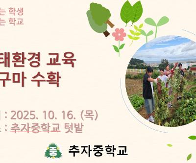 생태환경 교육 고구마 수확!
