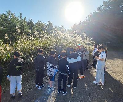 4학년 11월 현장체험학습