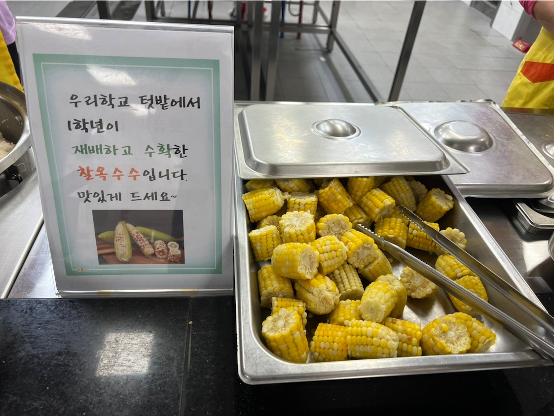 사진14