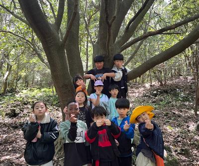 3학년 보물섬 프로젝트 연계 저지곶자왈 현장체험학습 실시
