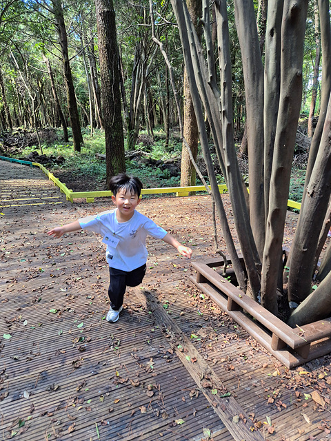 숲체험