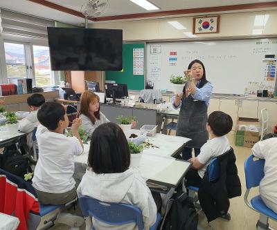 4학년 봄무지개축제 원예체험