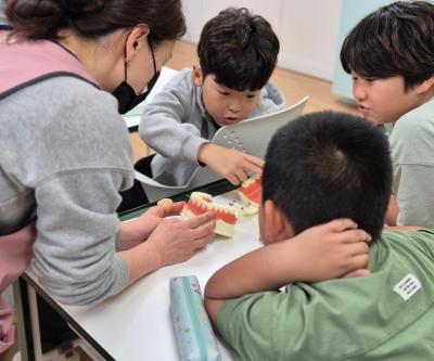 건강증진학교 만들기(구강보건 교육) 실시
