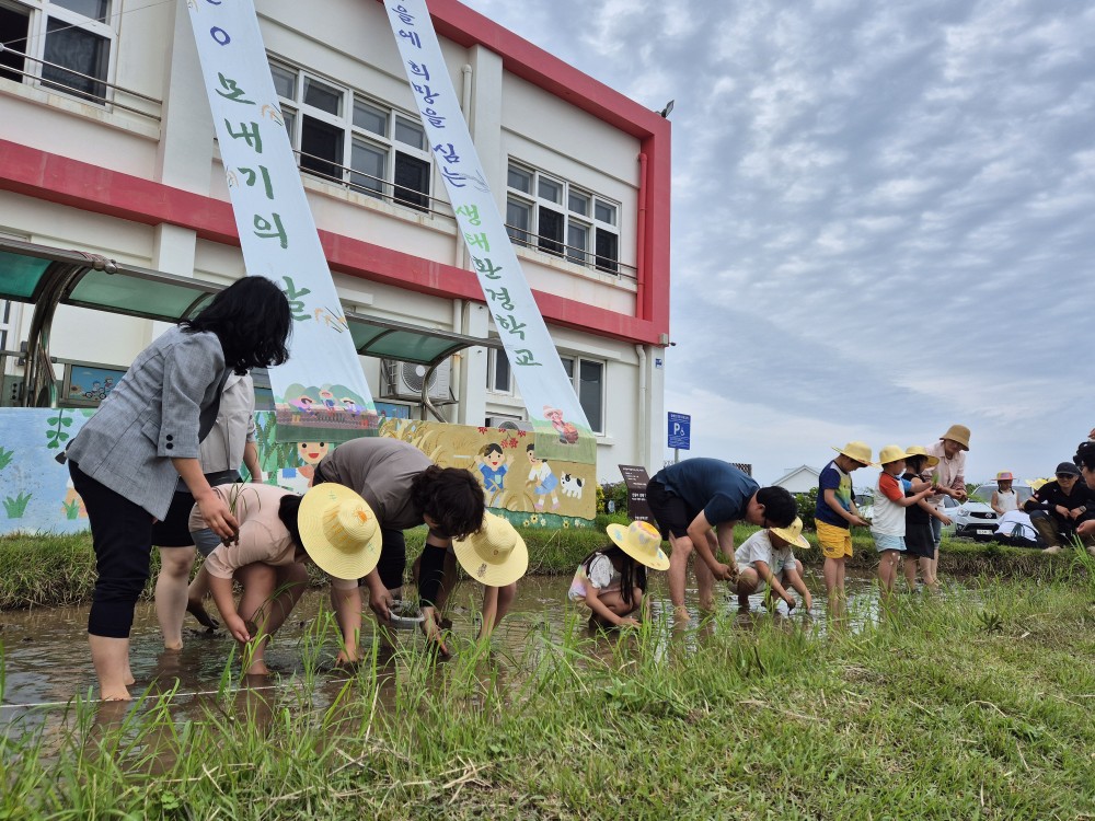 한동 eco 모내기의 날