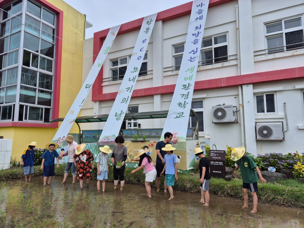 한동 eco 모내기의 날