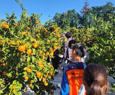 하례초, 순천인안초, ‘하례생태관광코스’ 공동수업 진행-하례마을에서 펼쳐진 지역 간 생태교육 교류의 장