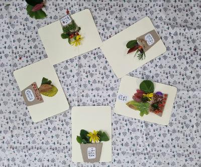 1‧2학년 마을생태동아리, 에코티어링 ‘숲이 좋아요’ 활동 진행