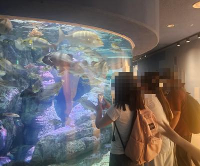 2025 여름방학 망원경과 현미경 제주 해양 생태계 탐사