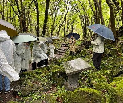 ‘코시롱 과학 탐구 반’ 곶자왈 생태 탐사, 빗소리와 함께한 초록빛 탐구