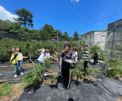 신광초 아람단, 유기농 블루베리 수확 및 실내 미로 찾기 체험 활동 실시