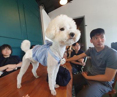 문화체험동아리 놀멍쉬멍 애견카페 탐방