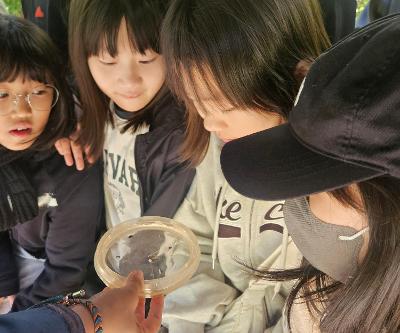 5학년 11월 현장체험학습