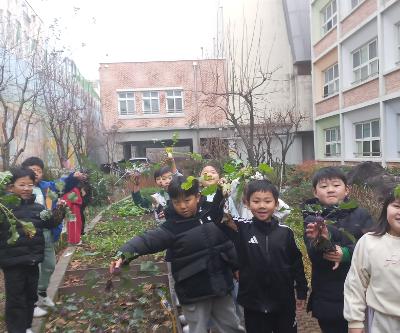 1학년 텃밭의 무, 콜라비, 당근 수확하여 맛보기