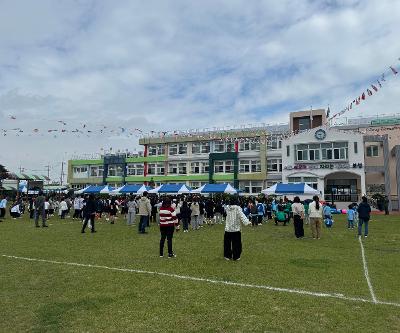 2026 보성 한마음 축제 실시