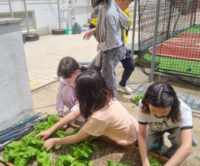나눔을 실천하는 학교텃밭