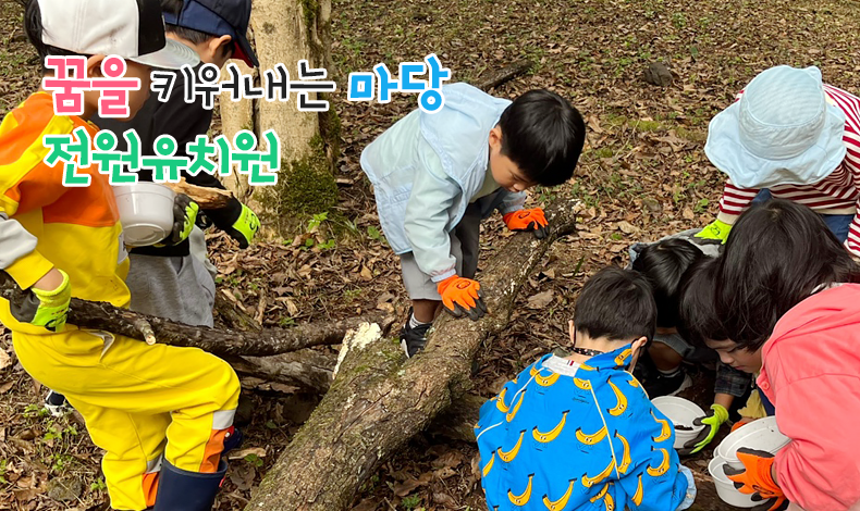 꿈을 마당 전원유치원
