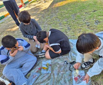 [2학년] 나뭇잎으로 꾸미기(초록별 예술가)