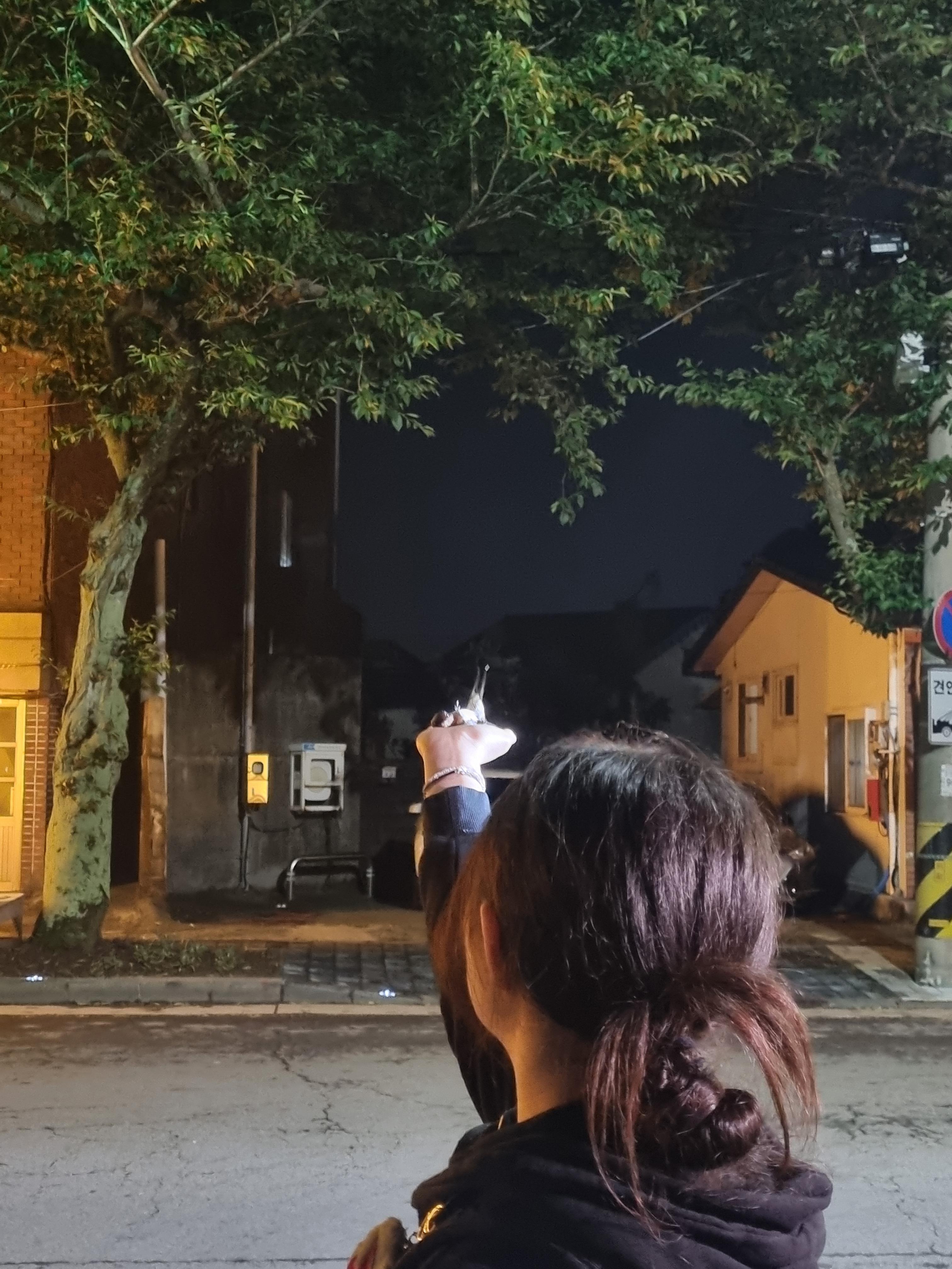 제비 포획 활동