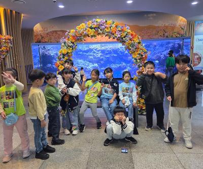  시흥초등학교 1학년, 2학년, 병설유치원 ‘아쿠아플라넷 제주 현장체험학습’