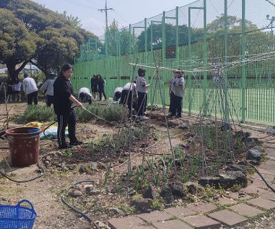 학교 4-H회 학생들 텃밭 모종 심기 활동