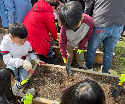 (청렴 씨앗 심기)종달 생태 텃밭 가꾸기 활동