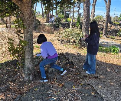 숲을 만나는 시간, 숲오리엔티어링 프로그램 운영
