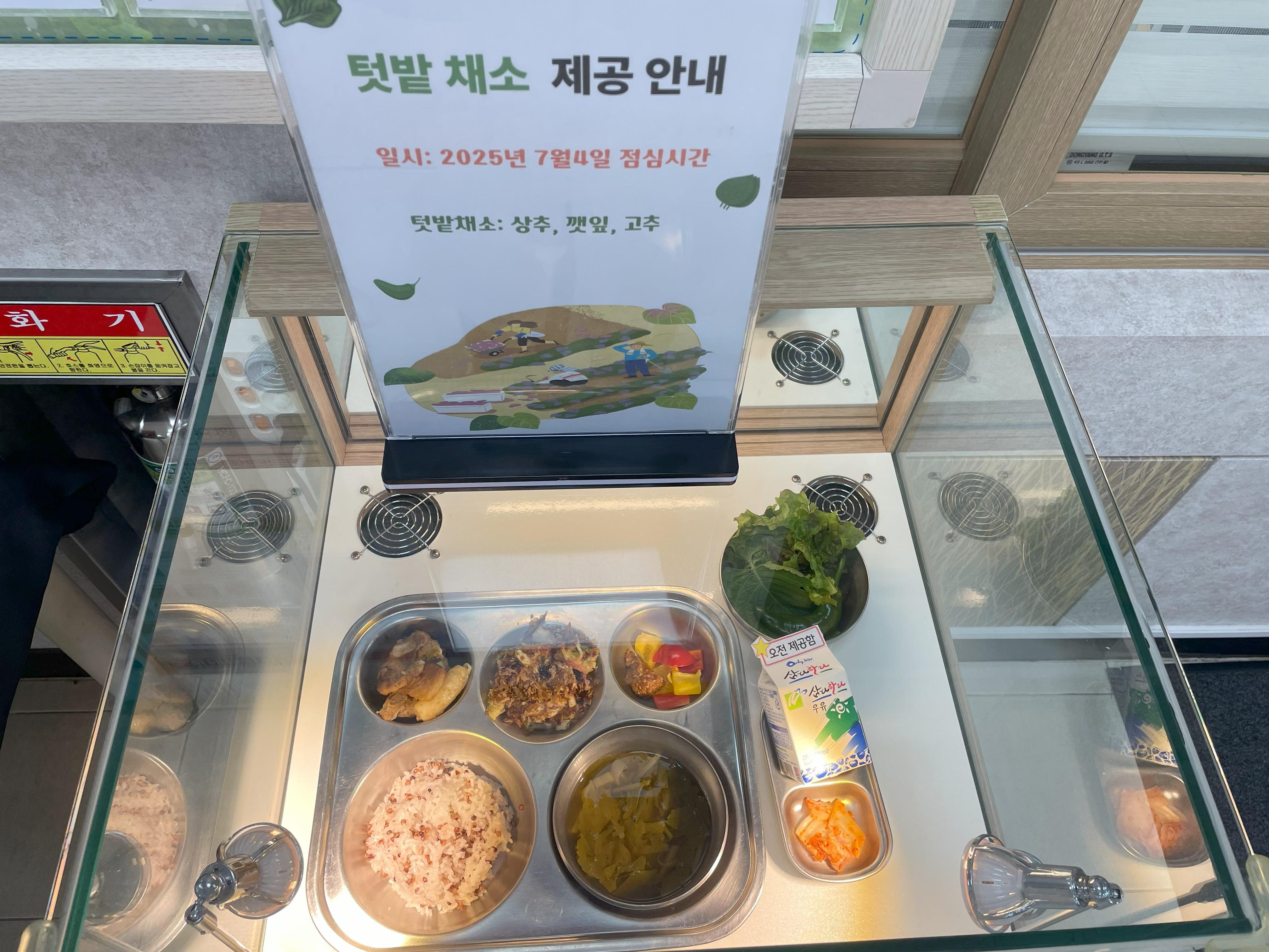 식판전시대1