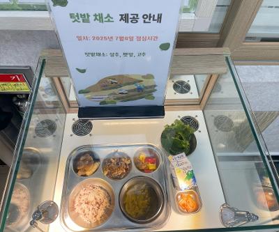 텃밭채소 급식 제공 