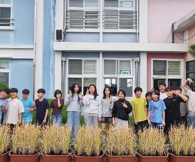 벼 추수 체험행사 실시(친환경농업 실천 사업)