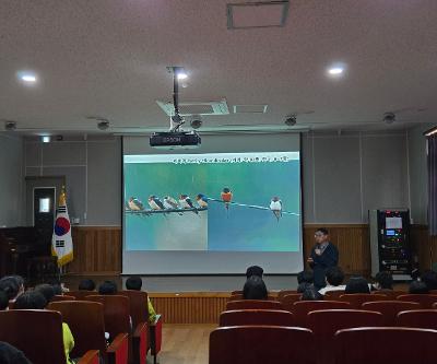 제비생태 조사 및 탐구활동