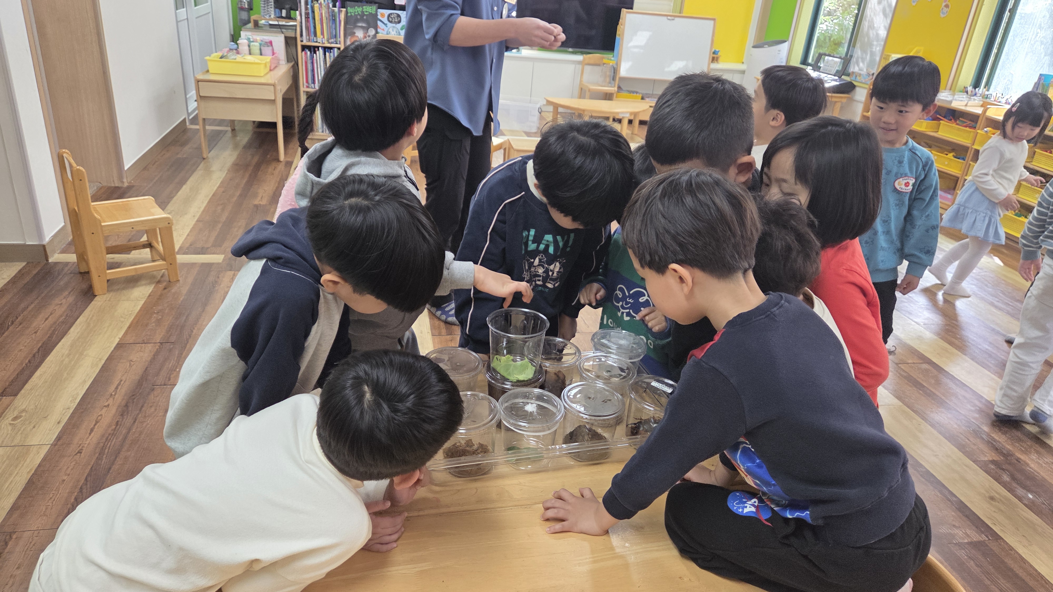 유초이음-곤충관찰