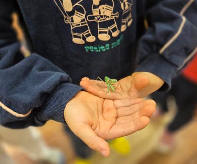 <유초이음 교육활동> 곤충 박사님과 함께하는 곤충관찰