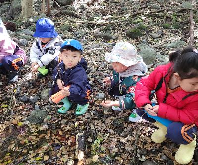 4월 1주 기쁨의반 숲유치원