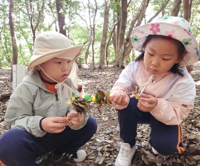 10월 2주 행복의반 숲유치원