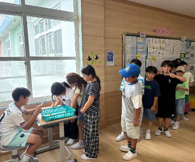 표선초, 2026학년도 제2기 전교어린이회 정부회장 선거 실시