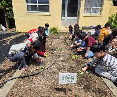 고사리손으로 일구는 ‘초록 빛 가득’ 텃밭 가꾸기