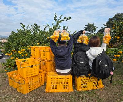 세계시민동아리 활동 실시