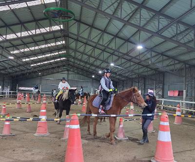 농어촌유학 프로그램 승마체험 