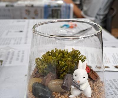 2026학년도 1학기 꿈끼탐색주간 테라리움 만들기로 완성하는 Plant Passport