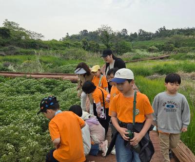 2학년 YES(예래생태) 체험학습 