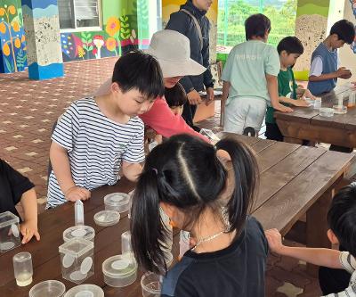 1,2학년 학교 여름숲 생태놀이